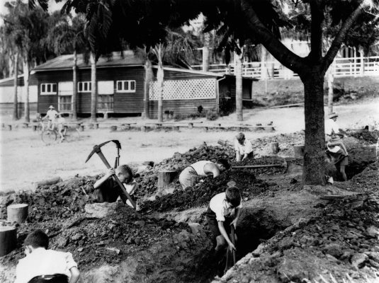 Schoolboys digging a trench at Ascot State School in 1942