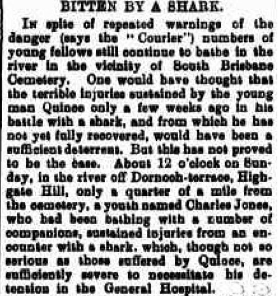 shark attack brisbane river 1905