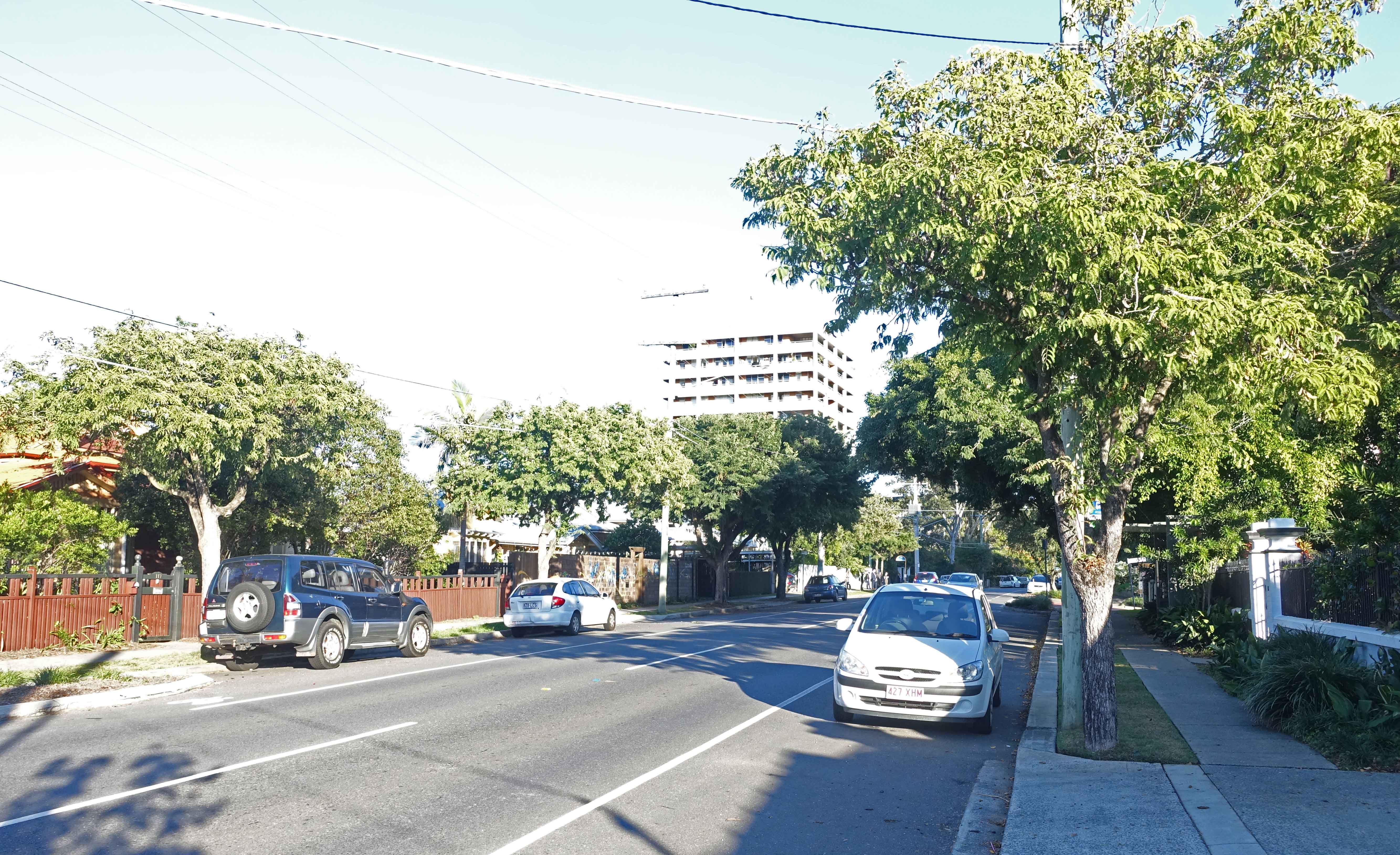 Tamarind Trees Dornoch terrace Highgate hill