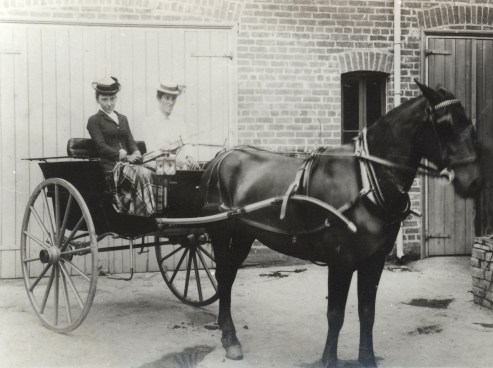 Two friends seated in a horsedrawn buggy small 1900