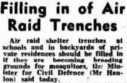 Telegraph (Brisbane, Qld. : 1872 - 1947), Thursday 18 November 1