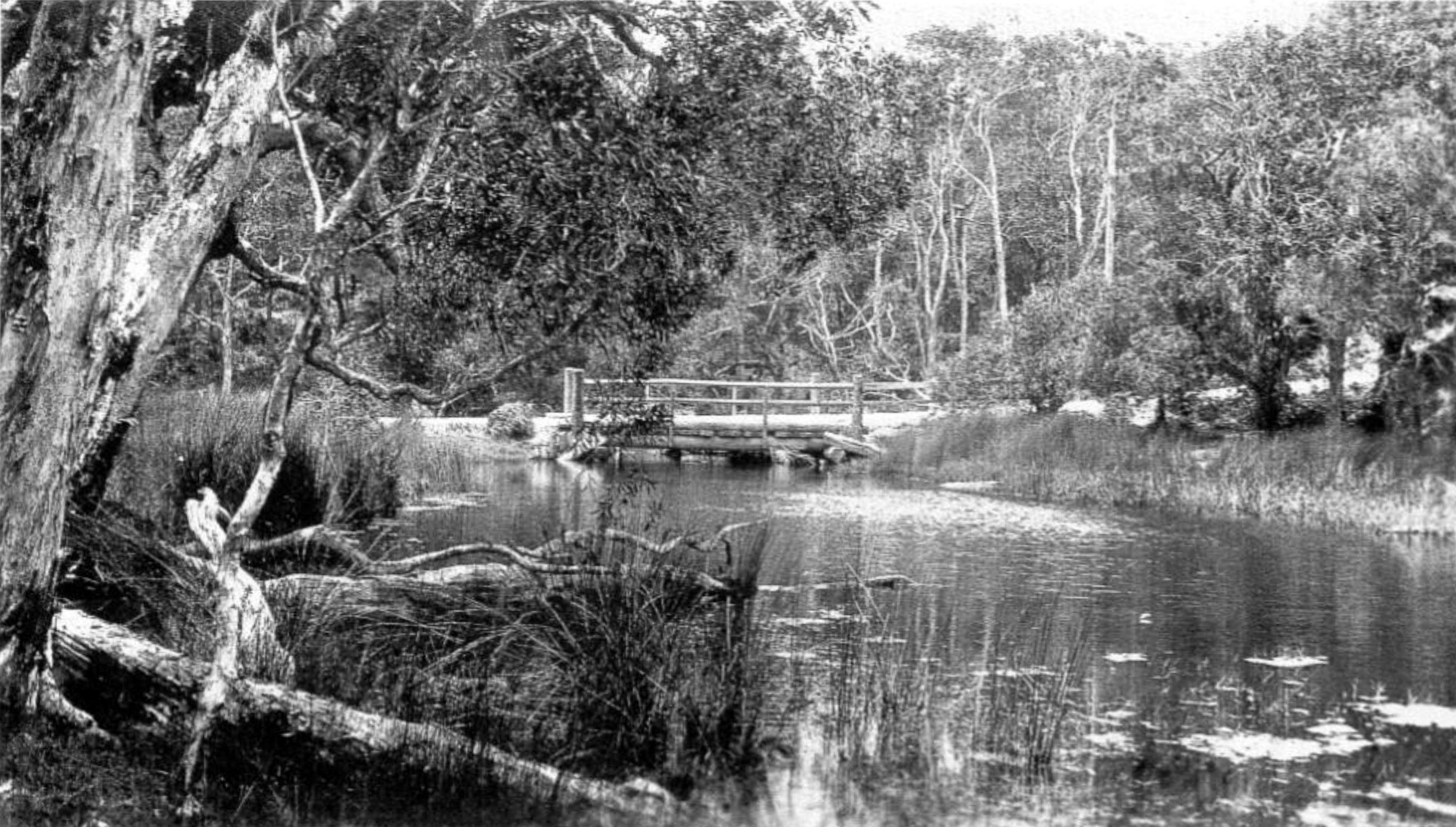 Creek and bridge at Clarence Corner