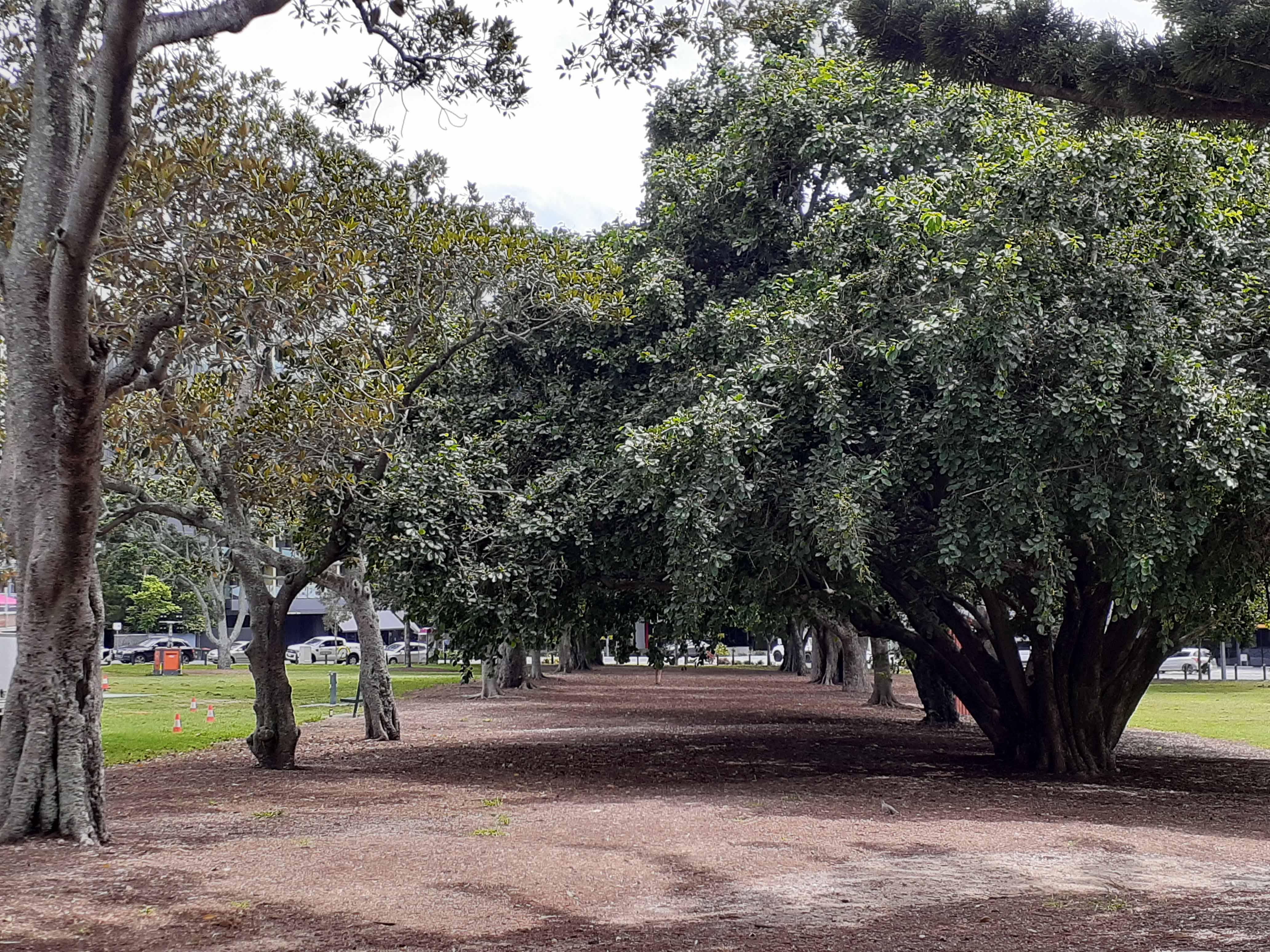 musgrave park avenue