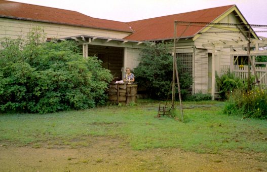 Daphne mayo Highgate Hill studio