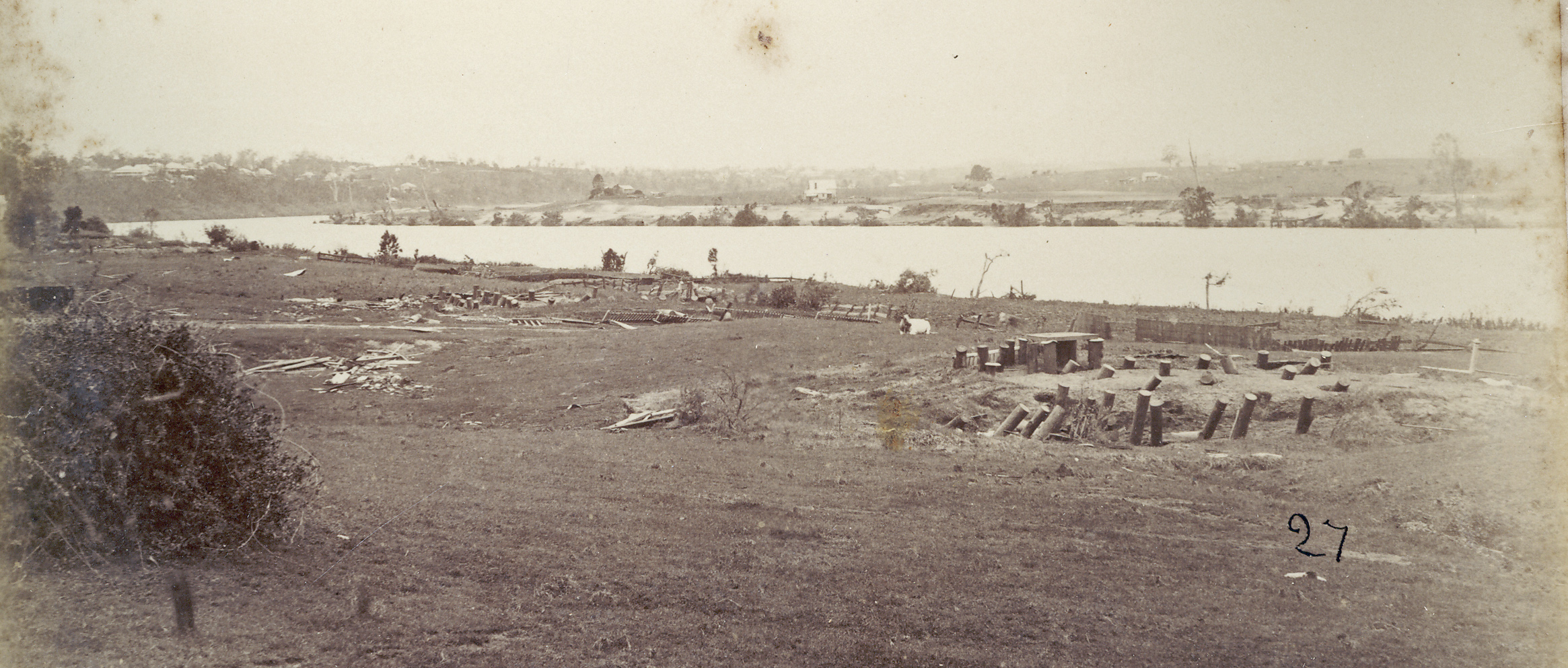 orleigh after flood 1 crop fryer