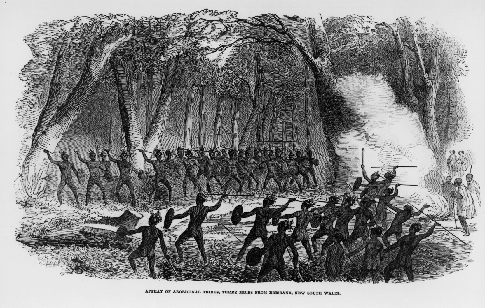 affray of aboriginal tribes three miles from brisbane new south wales slq