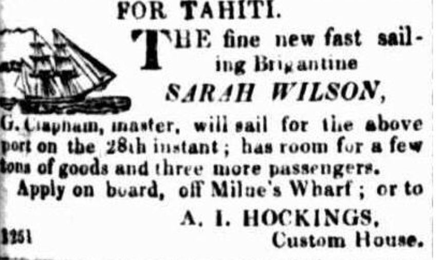 sarah wilson brigantine hockings