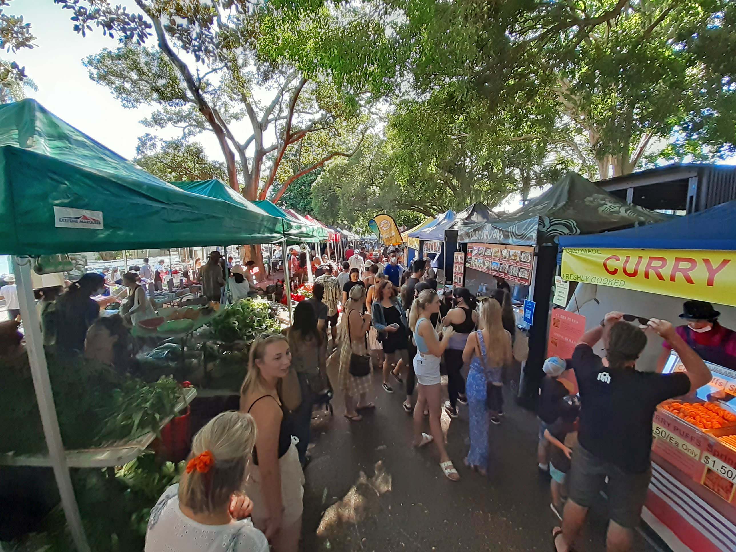 davies park market 2011