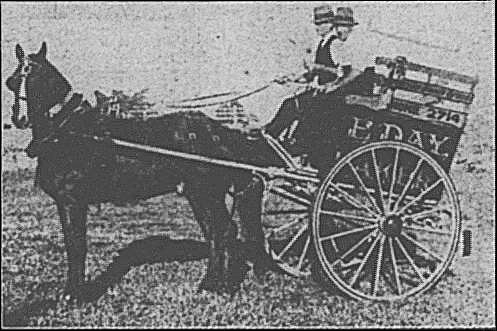 tradie turnout 27 show new