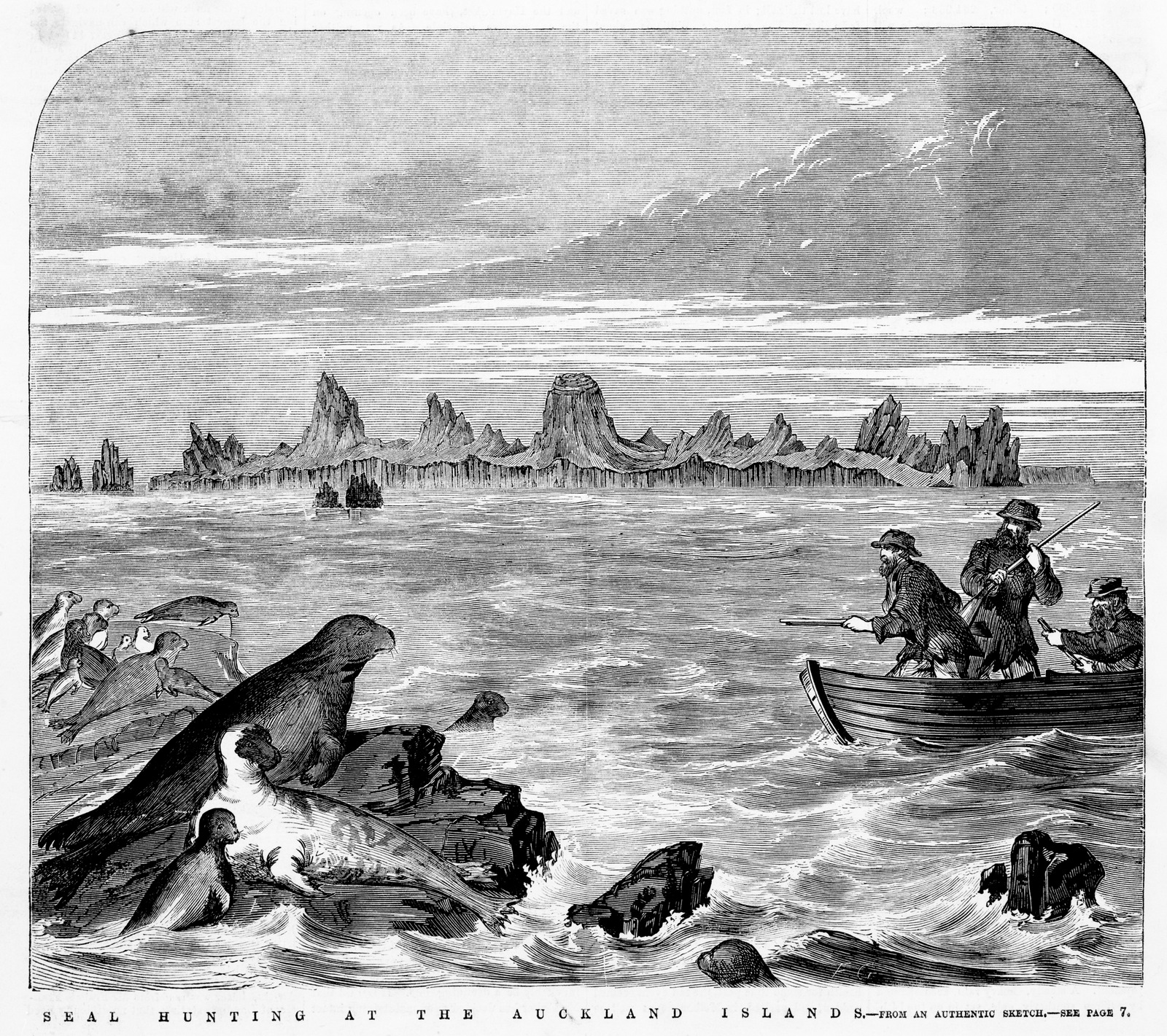 seal hunting aukland islands frederick grosse slv