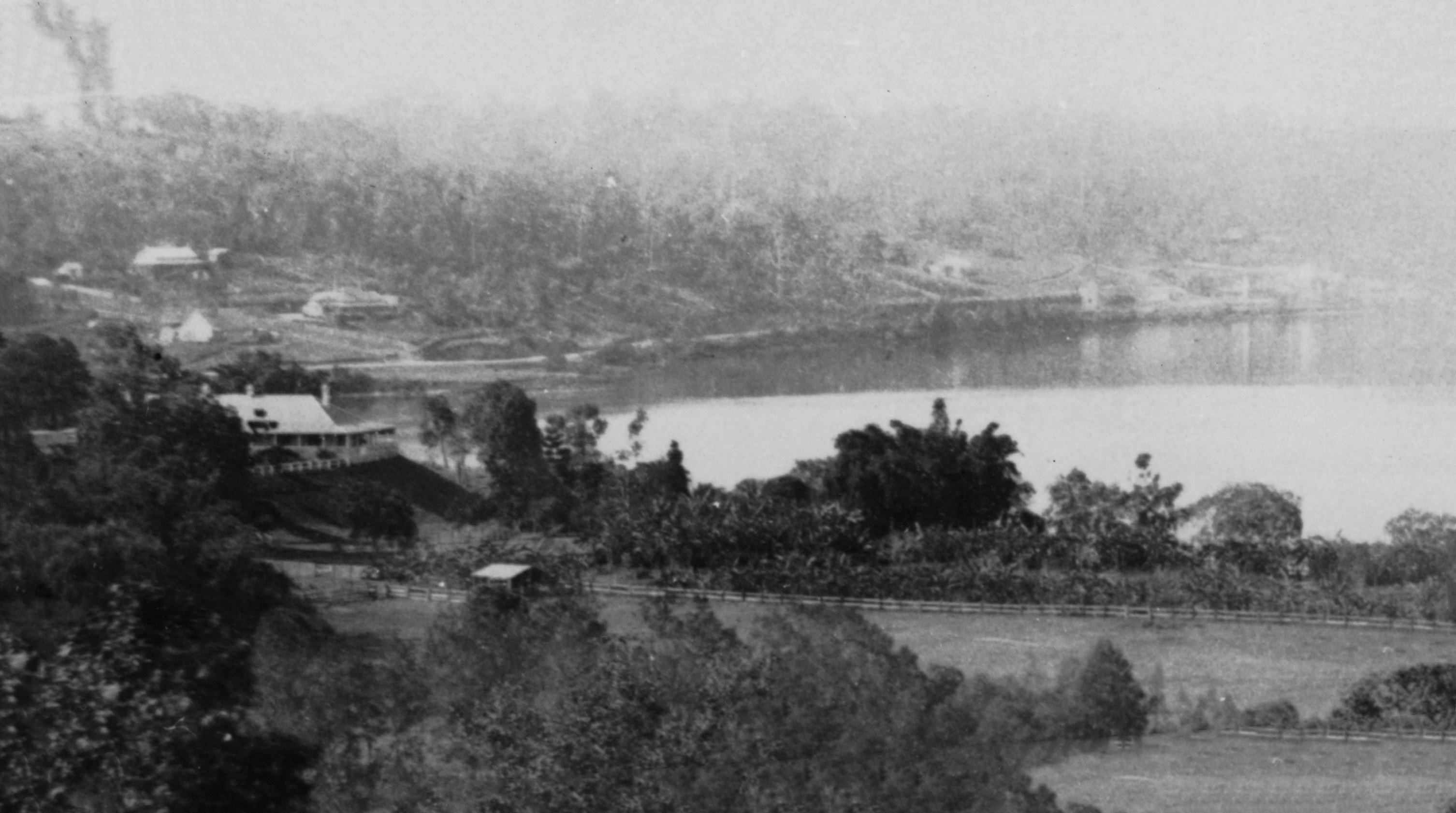 newstead from cintra 1875 slq