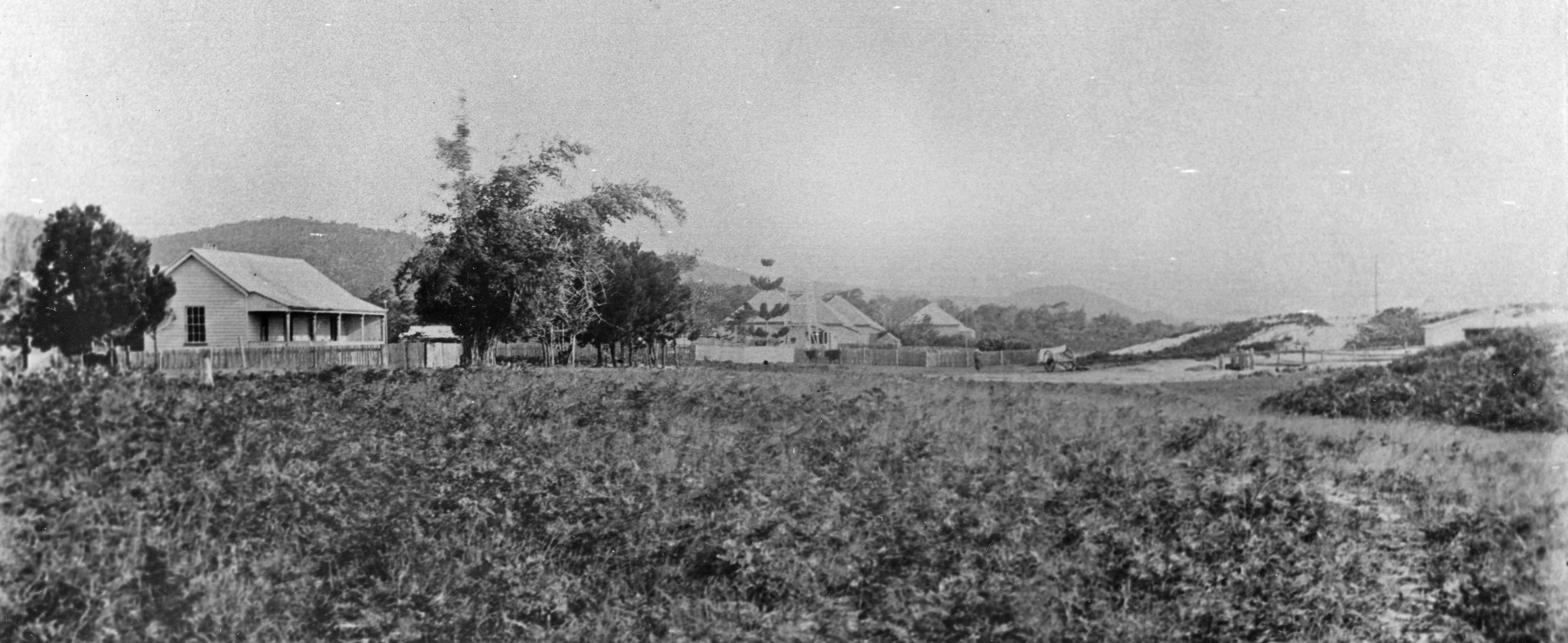 bulwer settlement 1906 blog slq