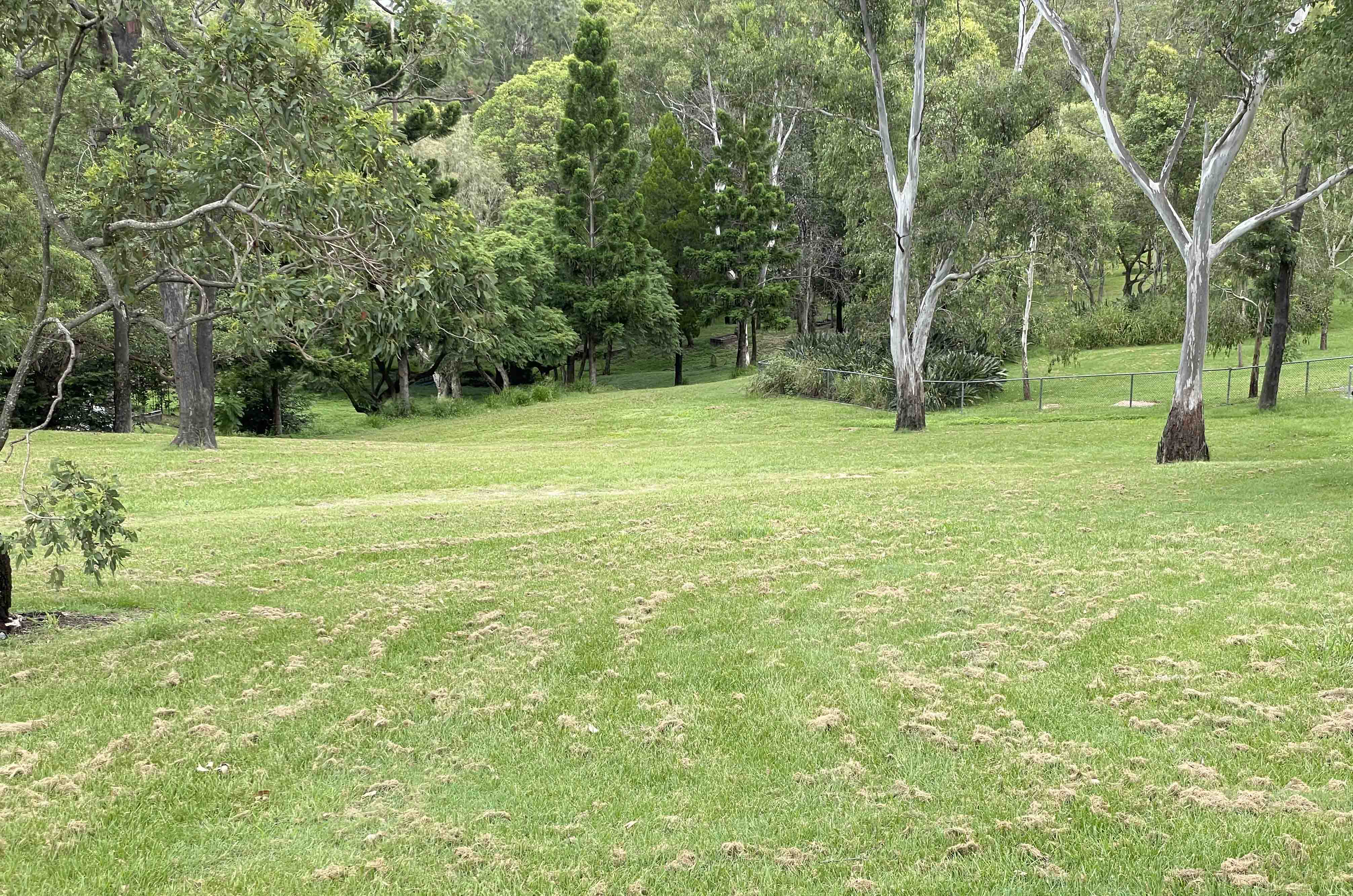dutton park amphitheatre