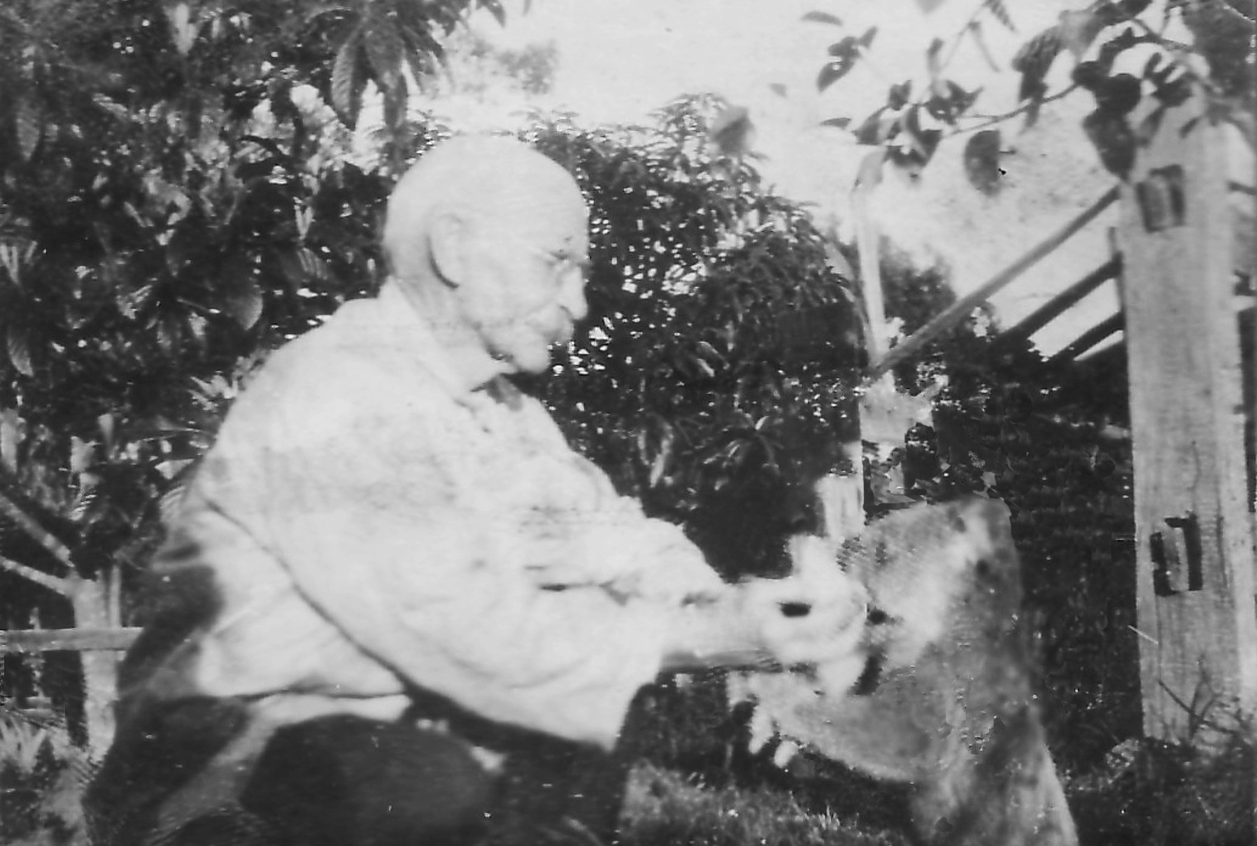 robert smith lang and koala maybe ca1920