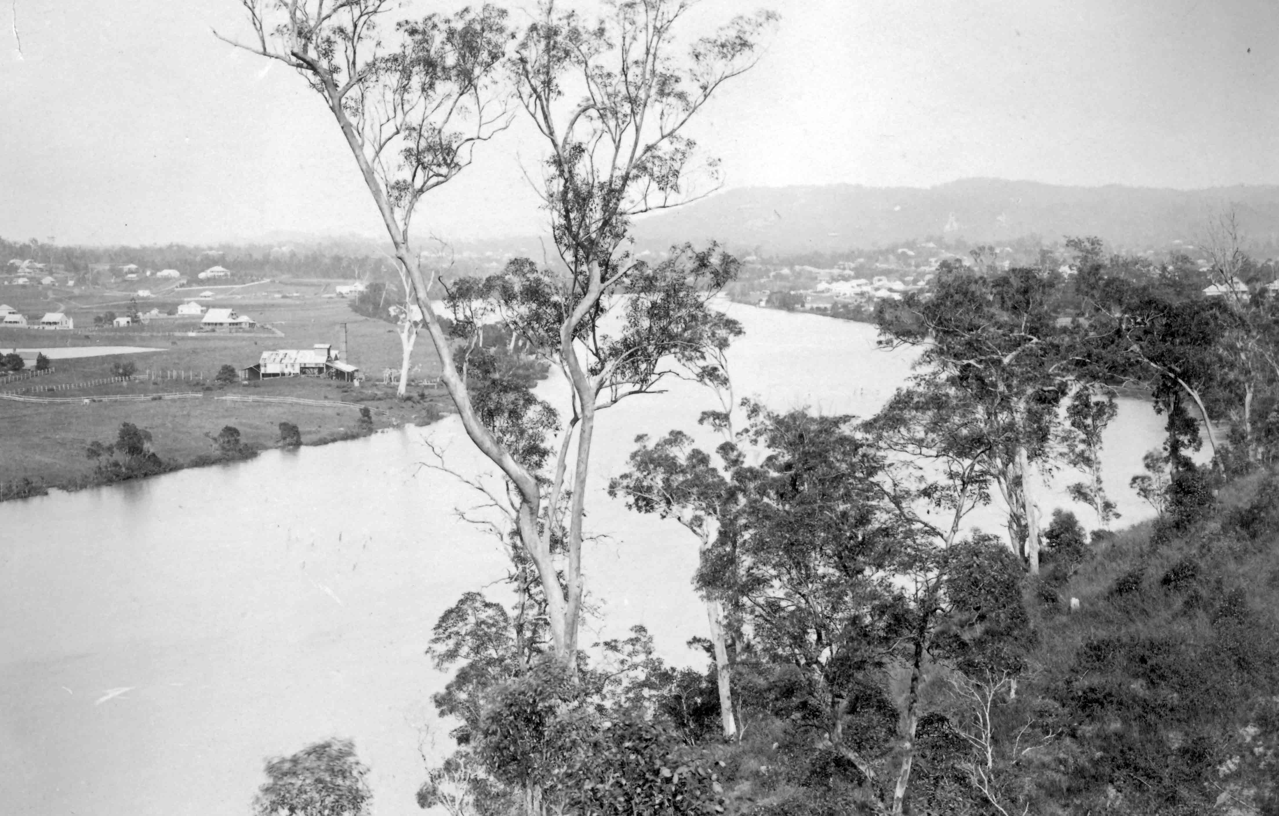 sugar-mill-st-lucia-1891-poulsen-fryer crop