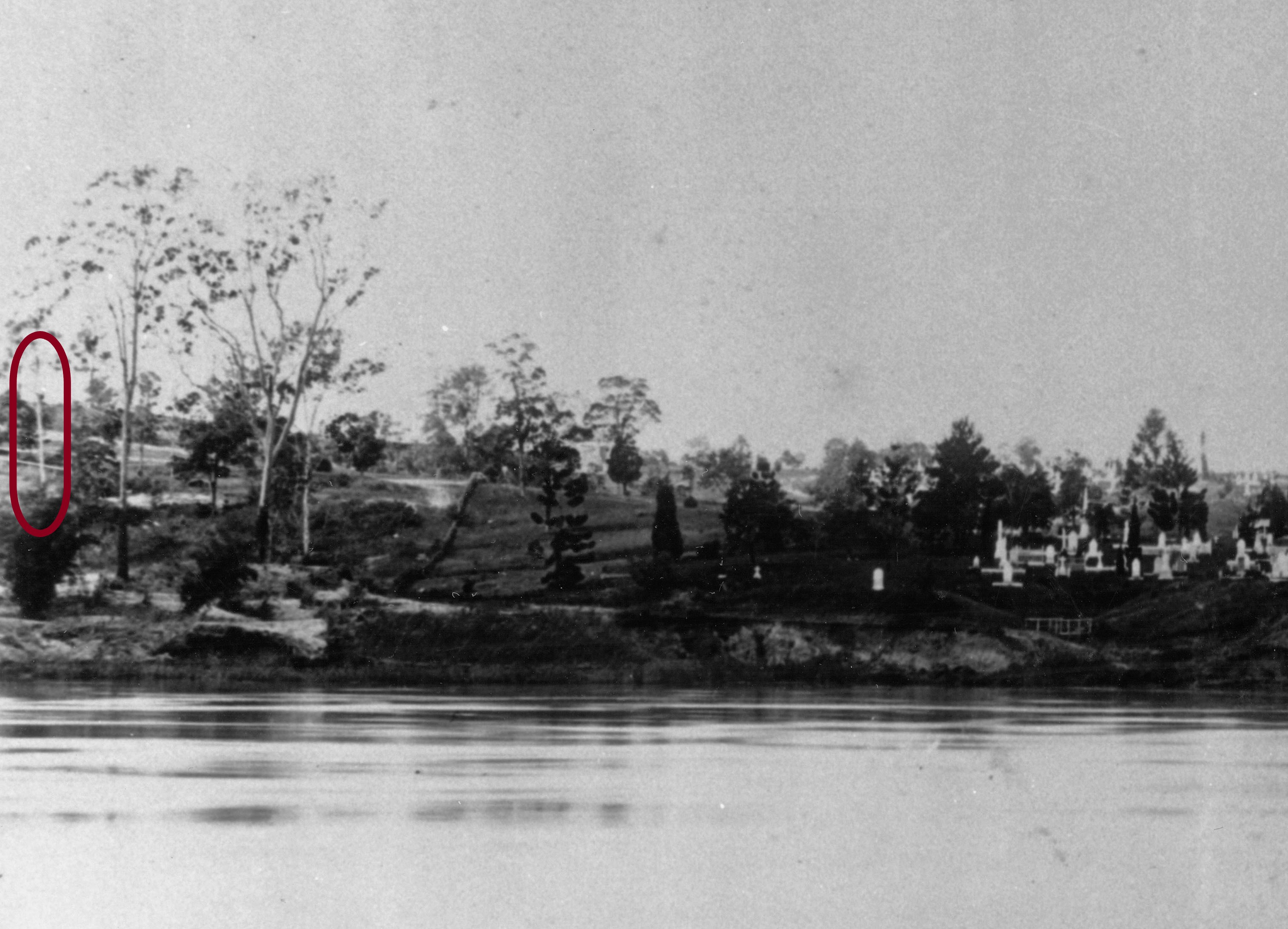 dutton park and cemery 1896 slq