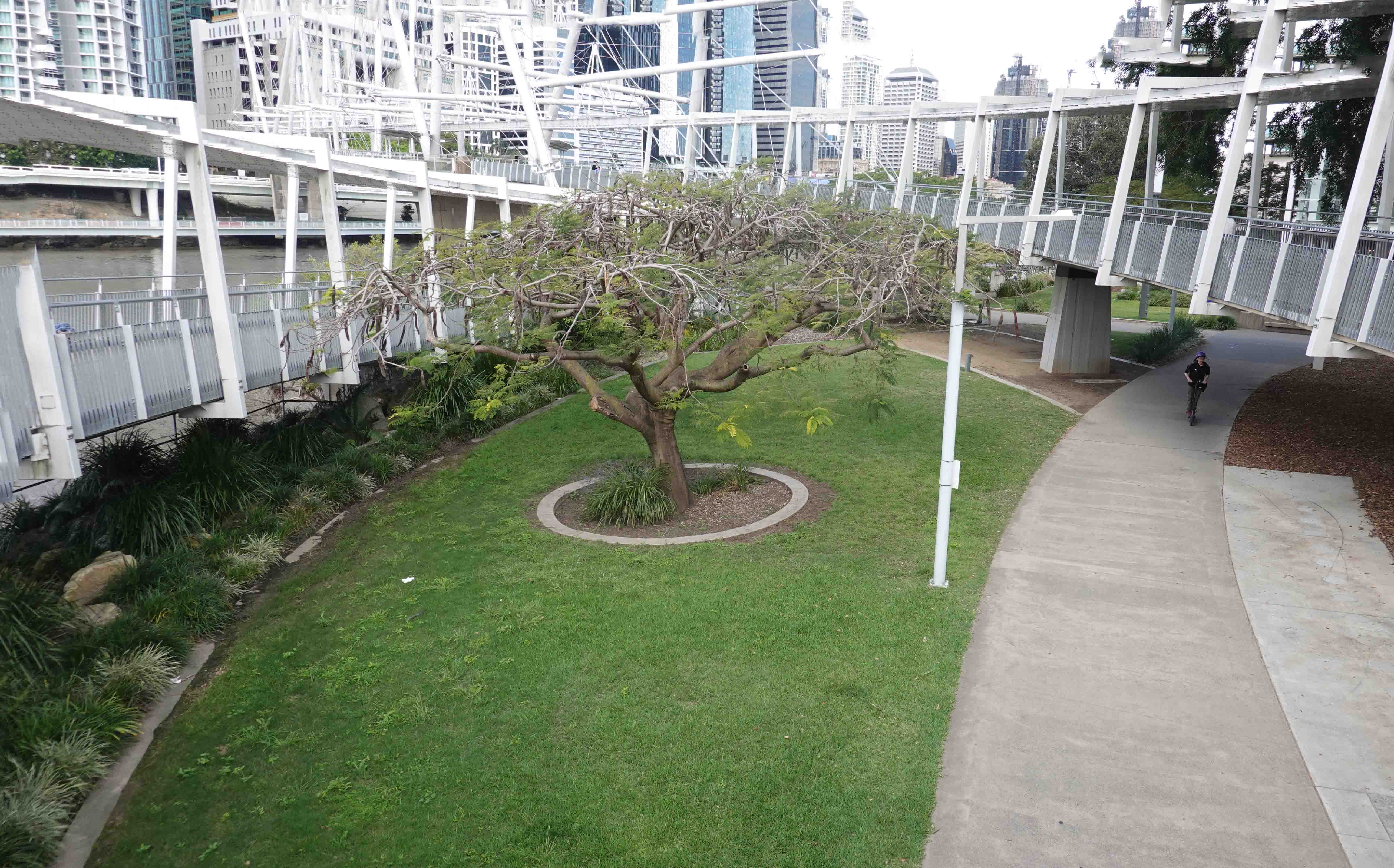 Making a Splash 2 South Brisbane’s Early Swimming Baths Highgate